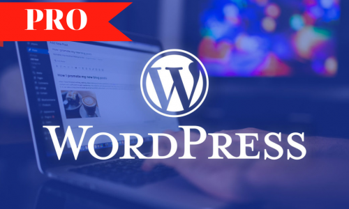 Khóa học nghề làm website với WordPress